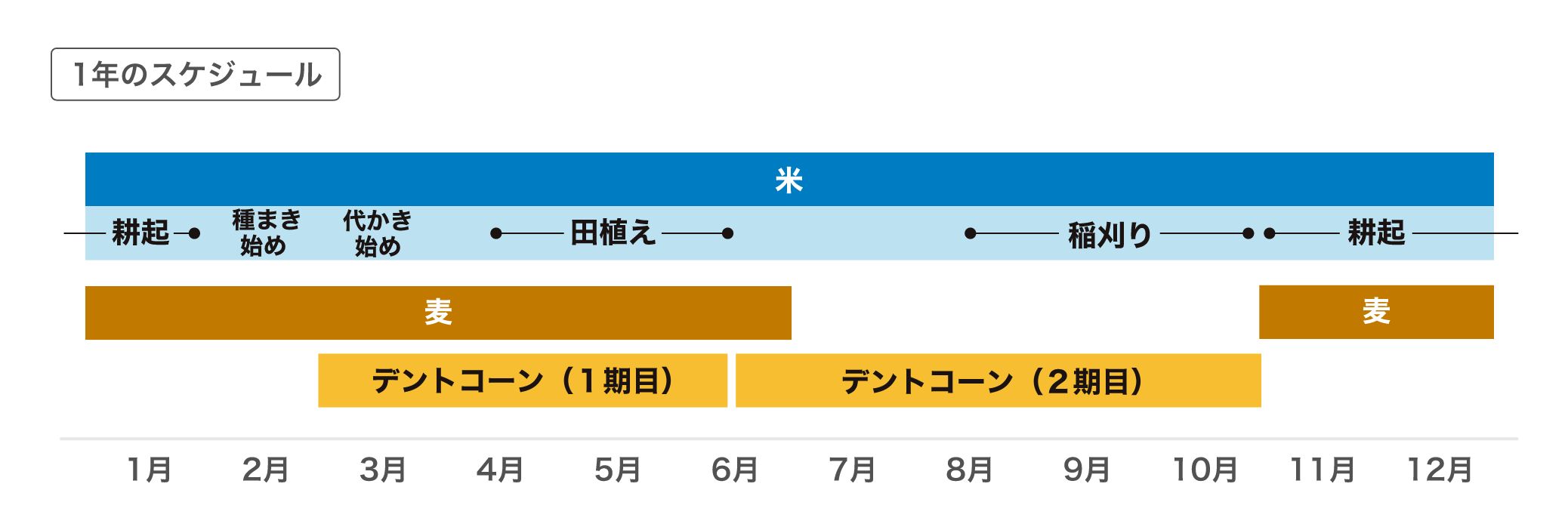 1年のスケジュール